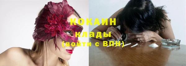 крисы Беломорск