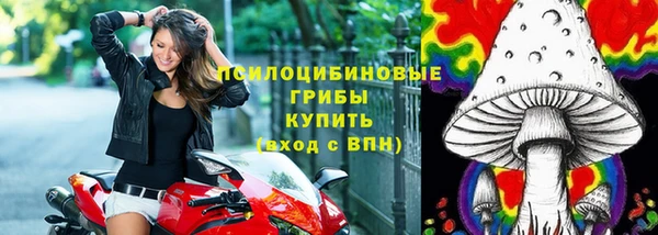 наркотики Белокуриха
