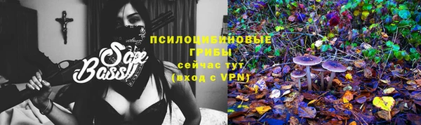 крисы Беломорск